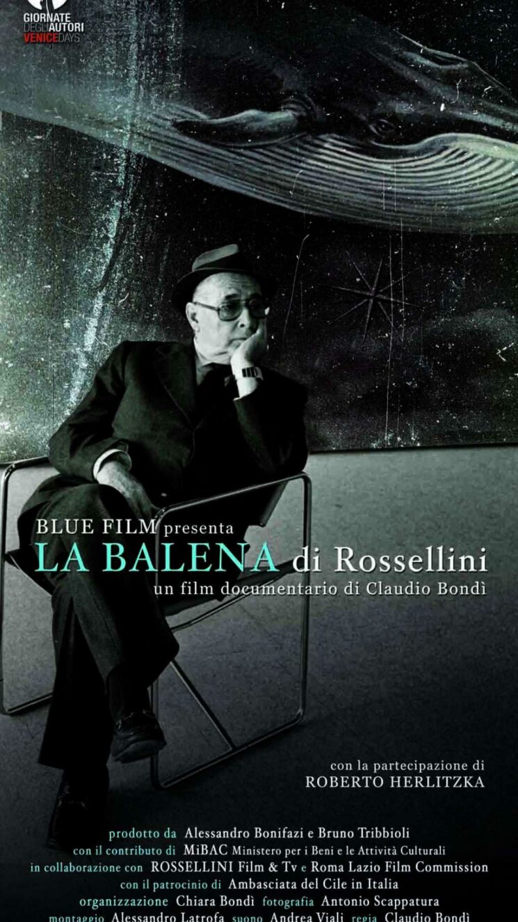 La balena di rossellini